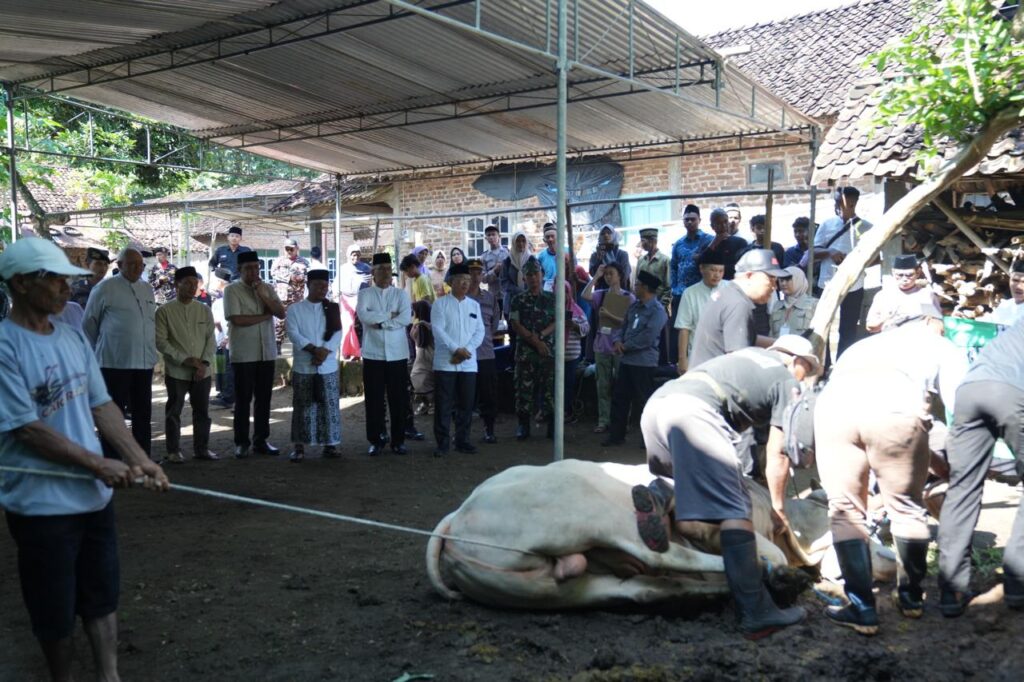 Pemkab Sleman Lakukan Pemantauan Pelaksanaan Kurban Hari Raya Idul Adha Tahun 1446 H/2025