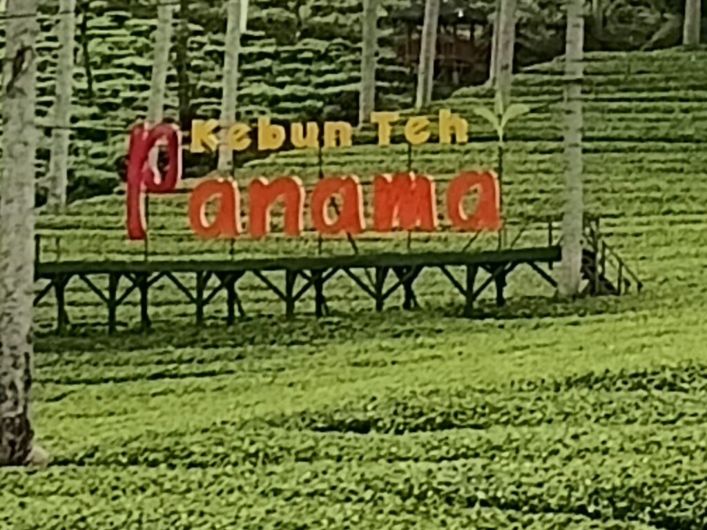 Mengenal Ciptaan Tuhan IWOI DPD Sleman Yogyakarta Taddabur Alam ke Objek Wisata Wonosobo
