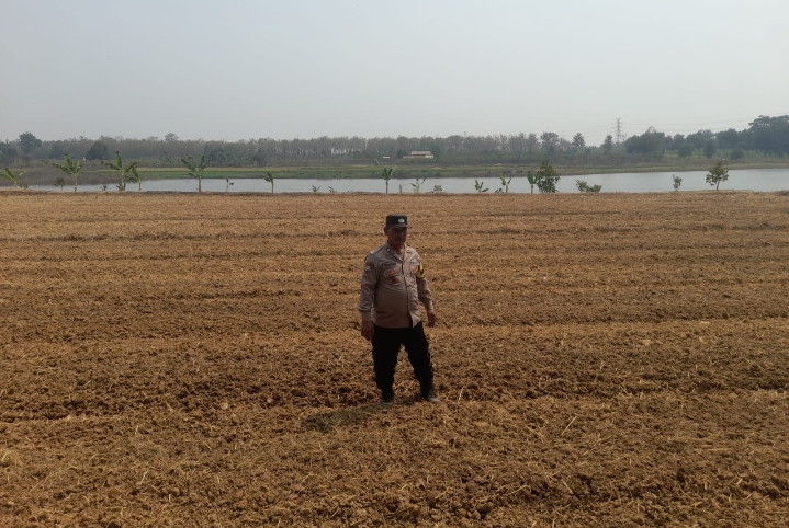Dukung Ketahanan Pangan, Bhabinkamtibmas Polsek Campaka Tinjau Lahan Jagung Siap Tanam di Desa Cisaat