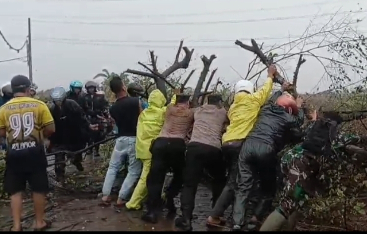 Sinergi Polri-TNI dan Warga, Polsek Campaka Tuntaskan Pohon Tumbang di Jalan PTPN Cikumpay